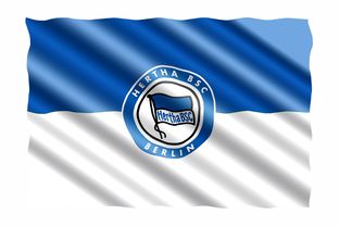 B体育体育链接-柏林赫塔对阵门兴格拉德巴赫，争夺胜利