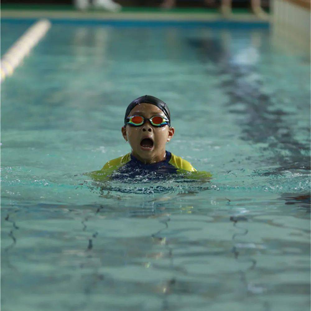 关于菲律宾游泳队奋力拼搏，力图突围的信息